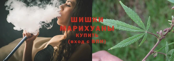 молекула духа Осинники
