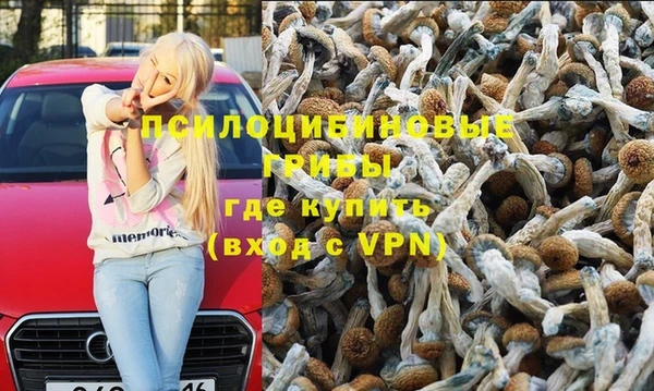 молекула духа Осинники