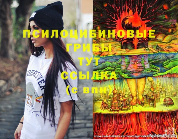 мяу мяу мука Осташков