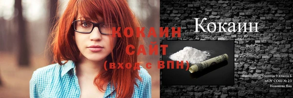молекула духа Осинники