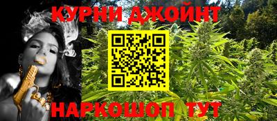 индика Абакан